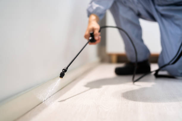 Certified termite inspector examining foundation in Canyon Lake